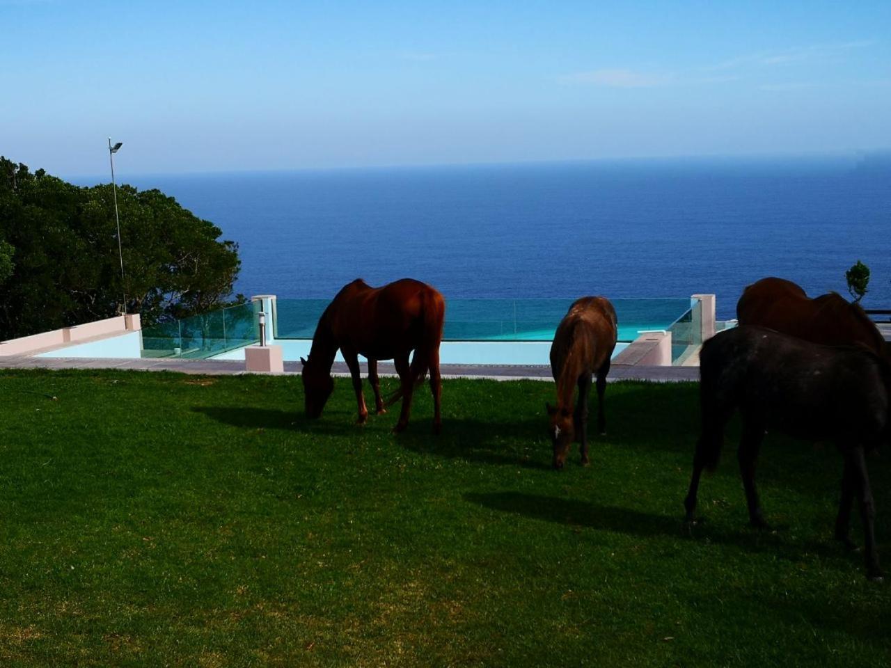 Tsitsikamma On Sea Resort Witelsbos Экстерьер фото